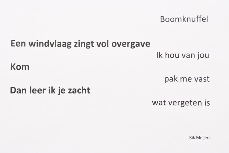 Rik Meijers